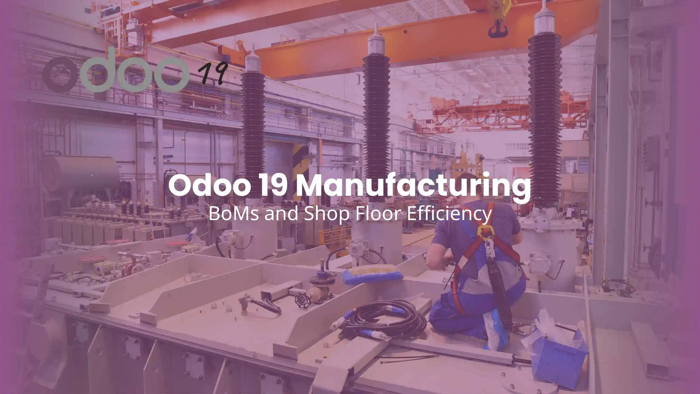 Odoo 19 Manufacturing BoMs and Shop Floor Efficiency