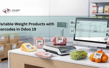 Variable-weight barcode workflow for manufacturing inventory in Odoo 19 with odoo customization services.