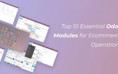 A visual breakdown of the top ten Odoo modules powering ecommerce operations, from storefront to fulfilment: odoo customization services.